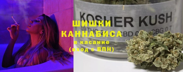 шишки Вязники