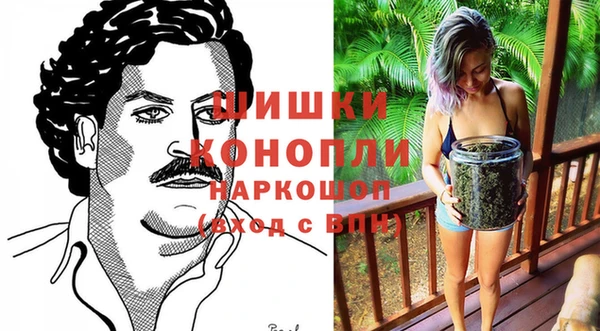 шишки Вязники