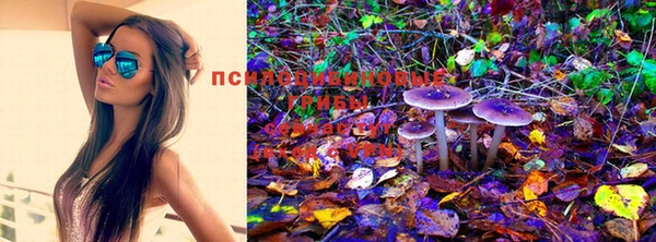 марихуана Вяземский