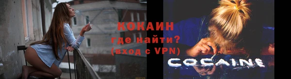 шишки Вязники