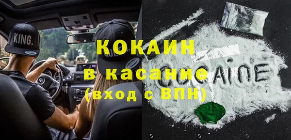 шишки Вязники