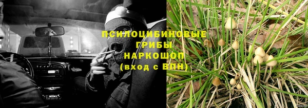 гидропоника Вязьма