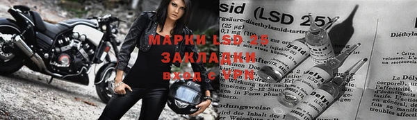 шишки Вязники