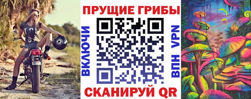 купить закладку  Петров Вал  Галлюциногенные грибы Magic Shrooms 